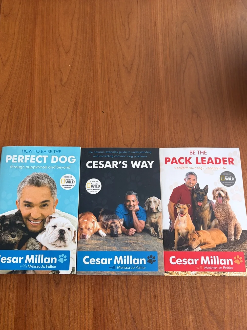 Bundle - 3 Dog Training Books by Cesar Milan - NEW!